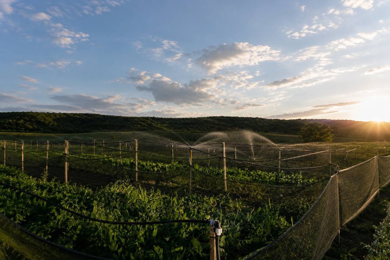 Teren agricol de vânzare – 6,8 hectare cu lac propriu și casă, Nisporeni - Poză 2