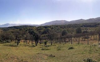 Teren intravilan I 3370 mp I PUZ pentru P+2 I Zona  Cisnadie - Poză 1