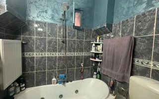 Casa Individuala | 150MPU | 494MP Teren | Sura Mare - Poză 12