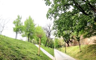 APARTAMENT 3 CAMERE | ULTRACENTRAL | ETAJ 1 | VEDERE LA SALA THALIA - Poză 20