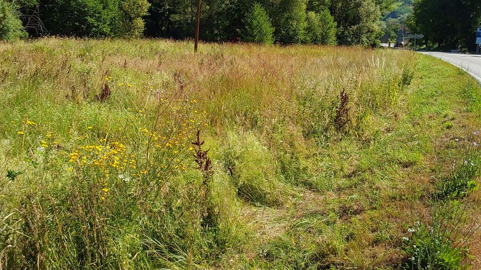 TEREN INTRAVILAN ÎN MARGA-LA DN68 JUD.CARAȘ-SEVERIN - Poză 6