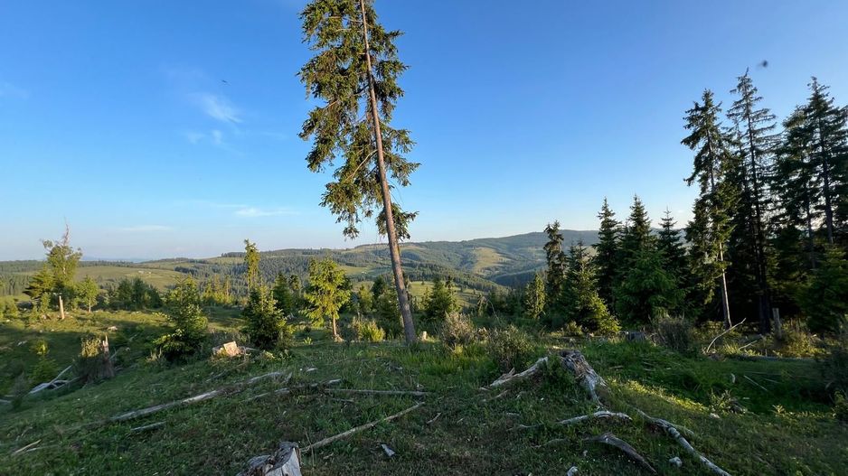 50 hectare teren | Moldova-Sulita | Potential turistic si agricol - Poză 9