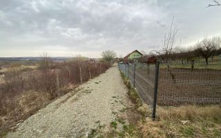 Teren de vanzare in Daia(apa, canal, curent,)- 800mp- Pret atractiv - Poză 3