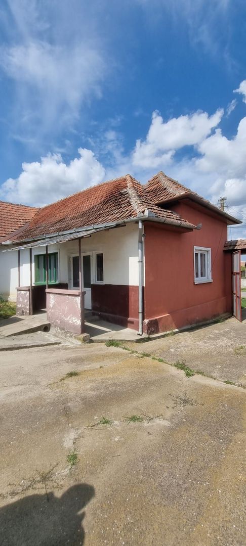 Casă 6 camere, livadă, 3 199 mp, Girisul Negru, Bihor. 42 000 E - Poză 26