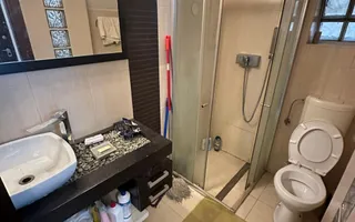 Vila 4 camere Parcul Gradina Icoanei-Rosetti | renovata - Poză 19