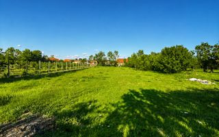 Casa cu 3300mp de teren la 30 de KM de Oradea - Poză 3
