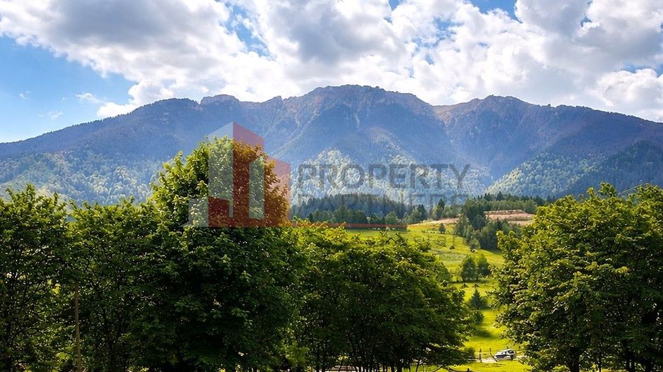 Teren cu priveliște spectaculoasă în Bran – Sohodol - Poză 1