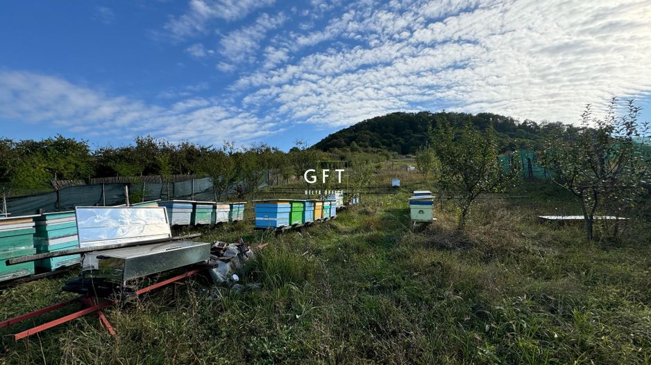 Teren de vanzare, Valea Ghinzii, parcele de 5-6 ari - Poză 1