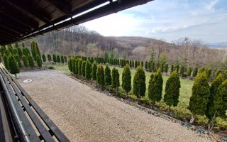 Casa din lemn D+P+M de 400 mp utili si teren 3.000 mp zona Faget - Poză 33