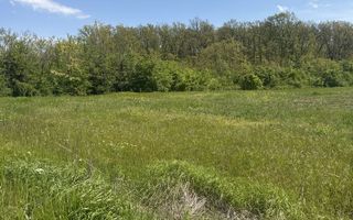 Teren de vânzare | Ciofliceni (Snagov) | Locație excelentă - Poză 1