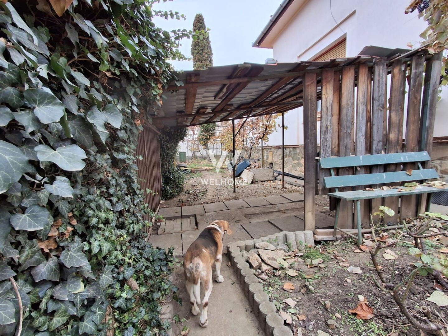 Casa de vanzare in Sibiu, birouri, clinica ,Parcul Sub Arini - Poză 19