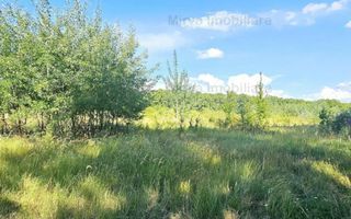 Vanzare teren intravilan, in Pacureti - Poză 4