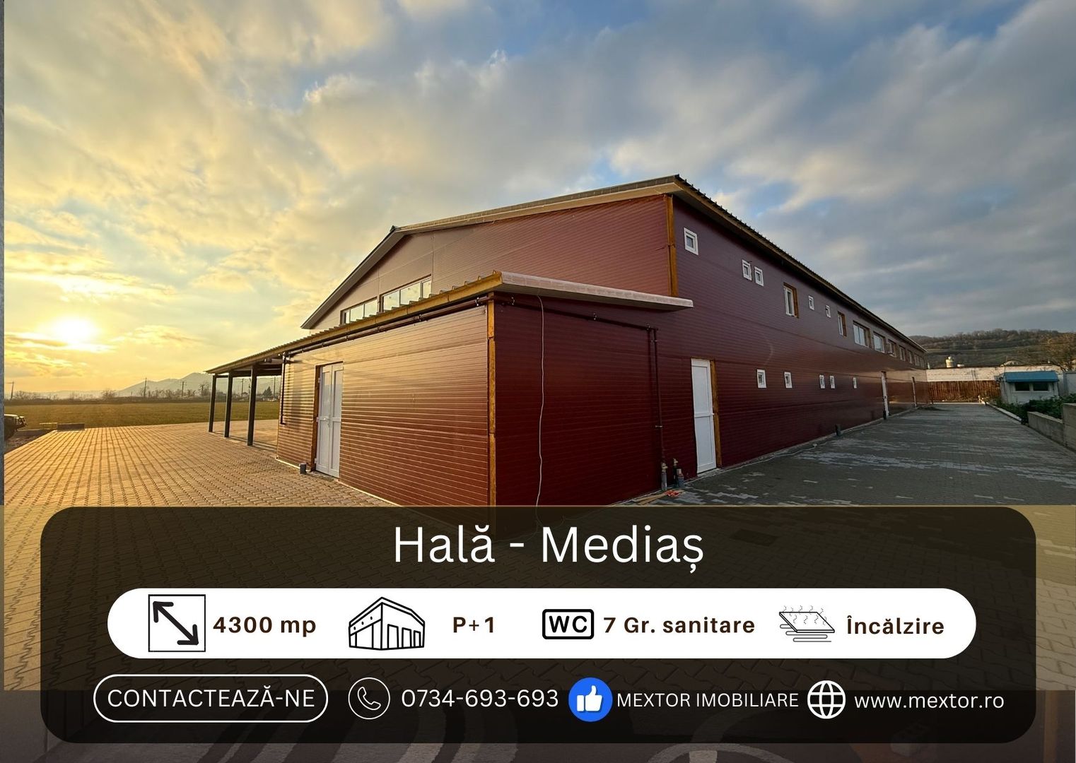 Hală de inchiriat, Medias - Poză 1