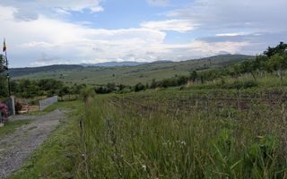 COMISION 0% Teren 3004 mp cu utilitati-cota drum-Dealul Budacului - Poză 4