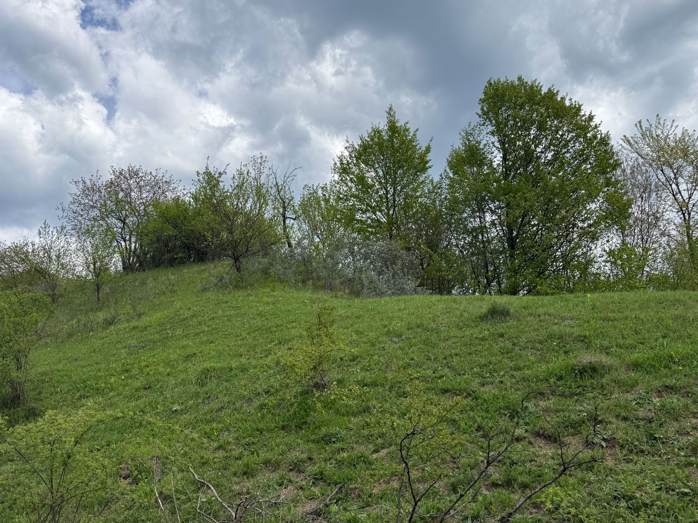 Teren intravilan 2440mp cu autorizație de construire și proiect ! - Poză 15