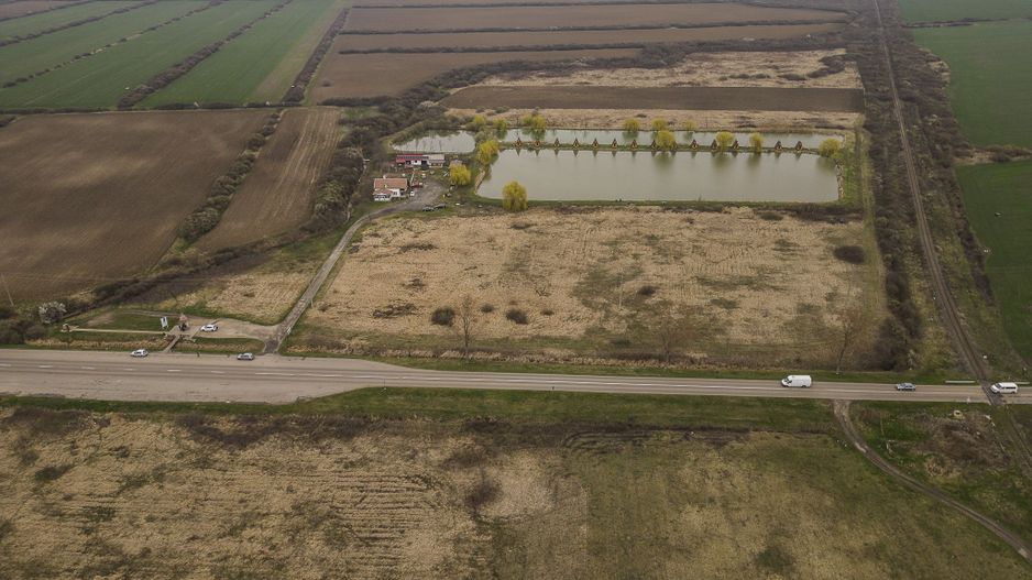 Teren extravilan in Ineu - Poză 11