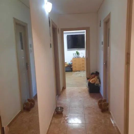 Apartament 2 camere de vanzare Pacii - Poză 7