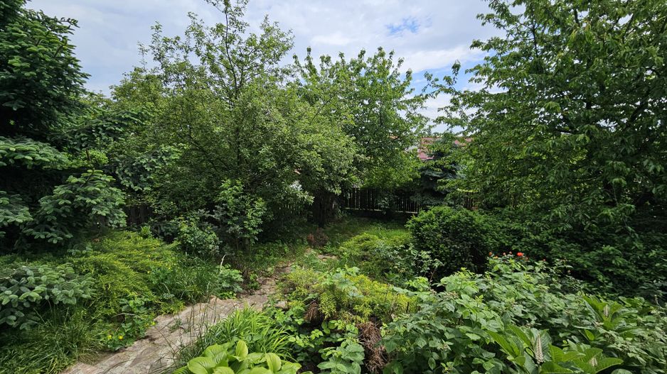 0 % comision, Casa individuala spatioasa cu teren de 539 mp, Gruia - Poză 14