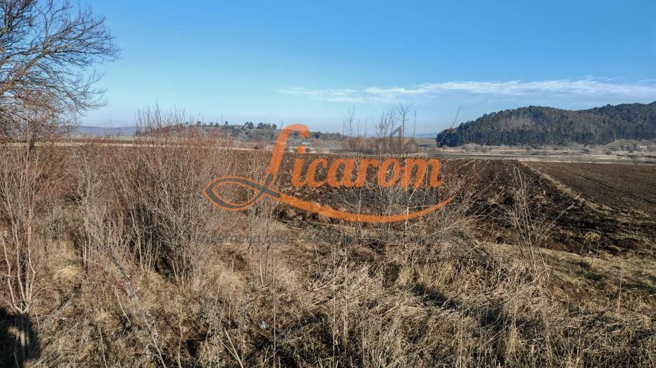 Teren intravilan,428 mp,SANPETRU iesirea spre BOD, utilitati. - Poză 5