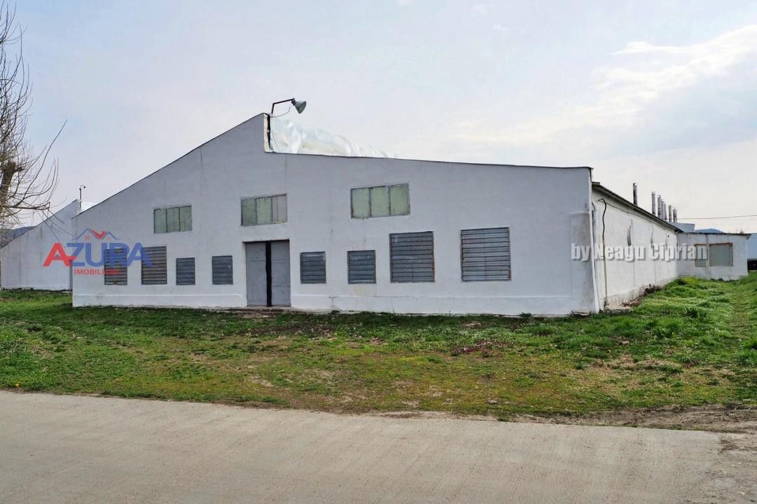 COMISION 0% - HALE Calinesti Arges - Poză 67