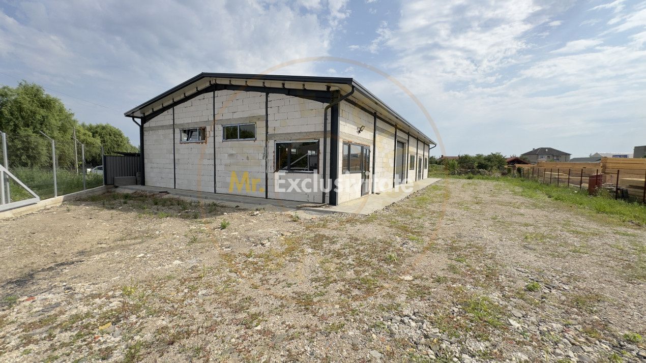 Inchiriere Hală Producție/Depozitare 300 mp, Teren 1791 mp - Carei - Poză 2