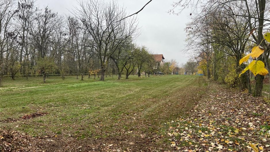 Teren cu deschidere la lac I Snagov - Poză 15