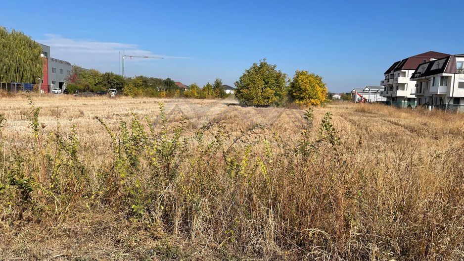 Teren 7714 mp Otopeni stradal - ideal investiție - Poză 2