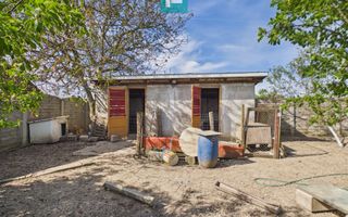 Casă retrasă Pișchia – 4 camere, teren 920 mp - Poză 61