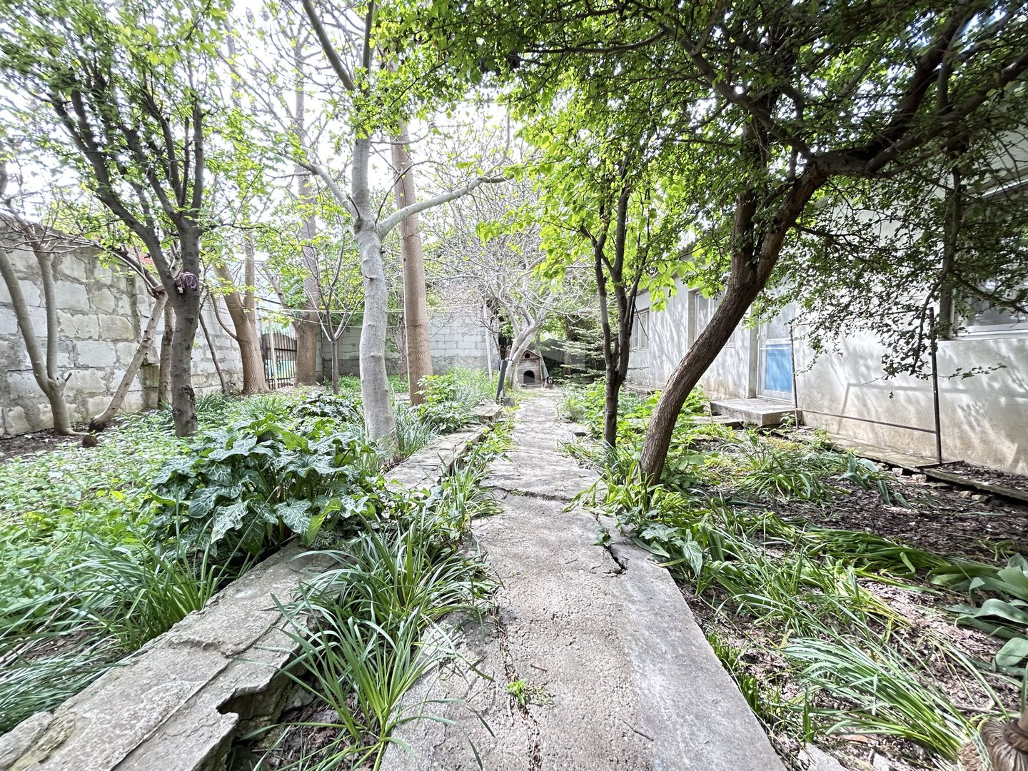 Casa P+1 ideala pentru 2 familii sau pentru inchiriere – zona centrala - Poză 24