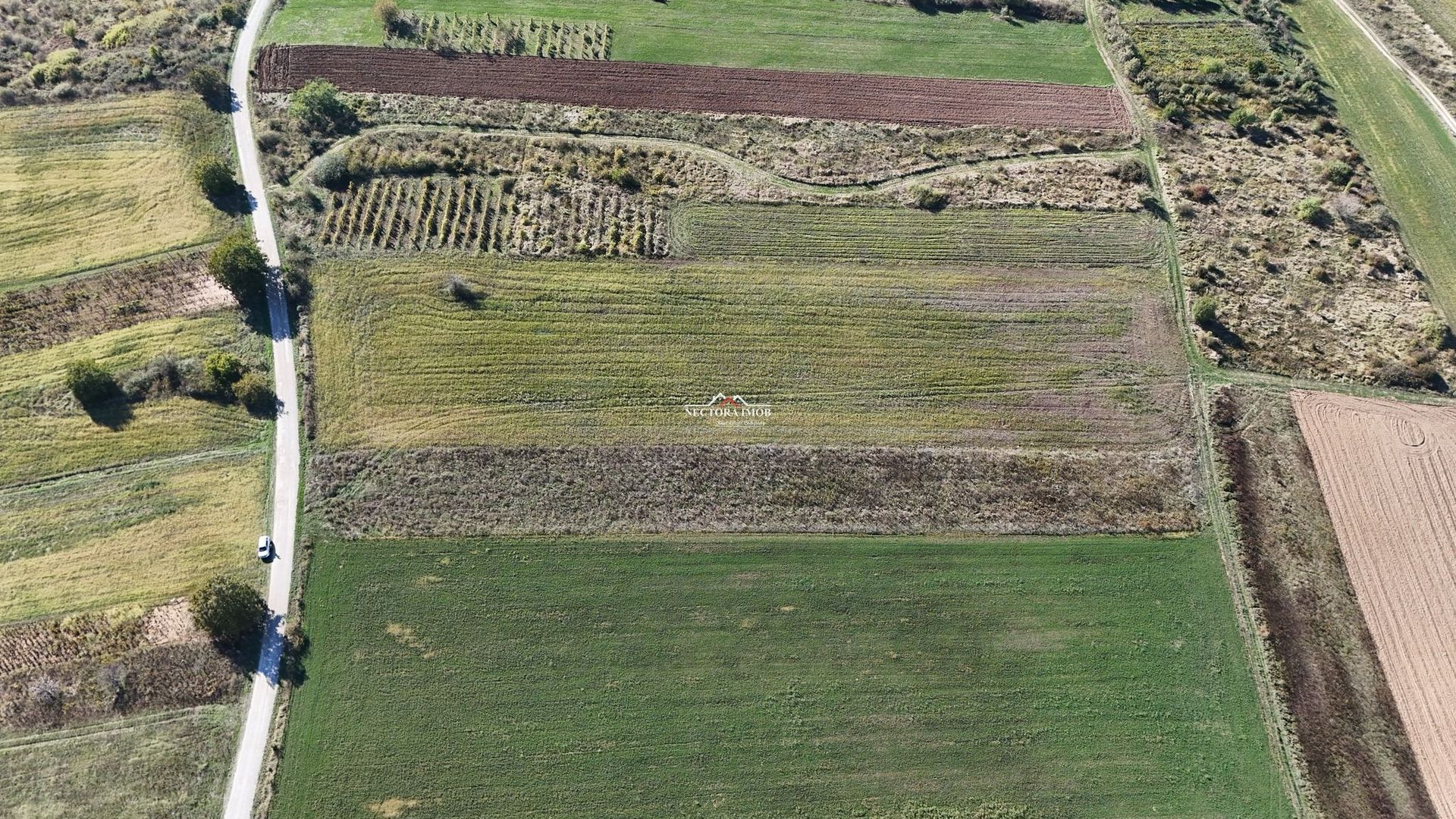 NECTORA IMOB-Teren Saldabagiu de Munte, aproape de Lac Paleu, 2880mp - Poză 11