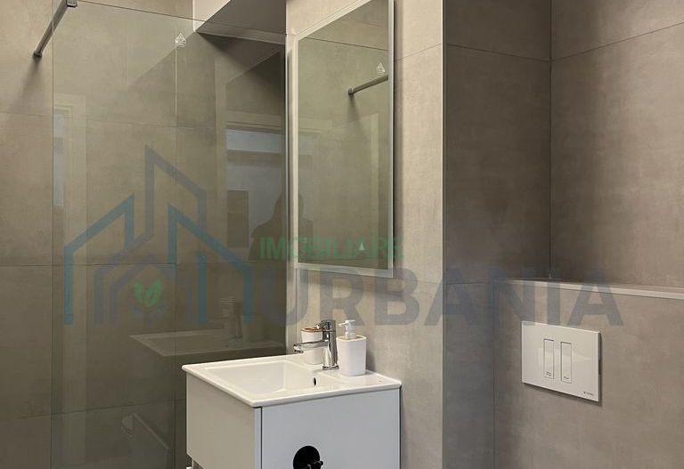 Închirere apartament cu o cameră - Poză 5