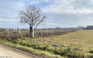 Afumati - Str. Iasomiei, 2409 MP, stradal, intravilan, deschidere 12 m - Poză 5