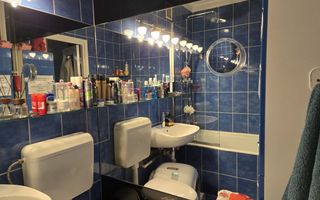 Brancoveanu, Izvorul Rece S155 - Poză 10