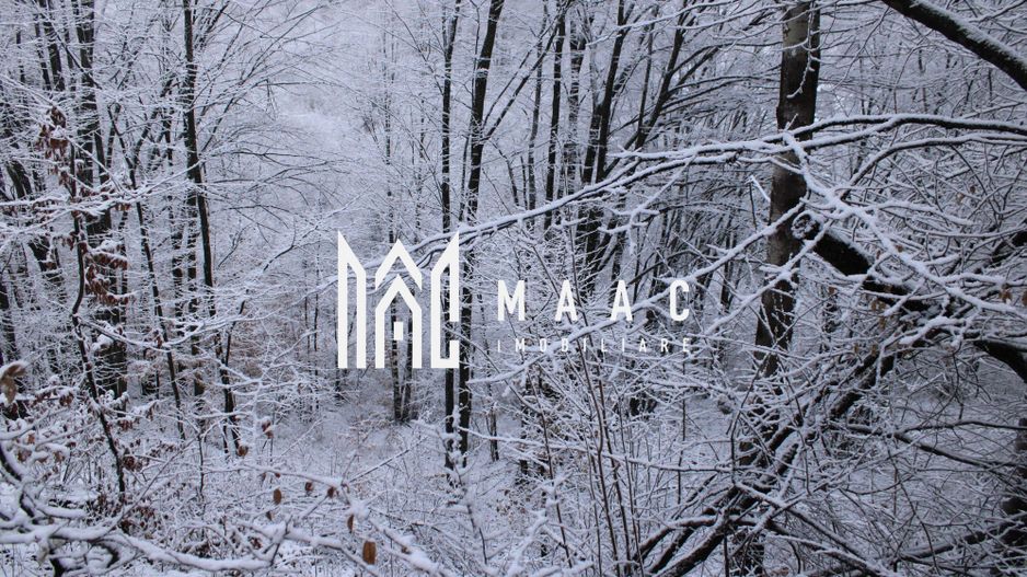 Teren cu izvor de apă minerală  Dangești, Punctul Valea Mare - Poză 33