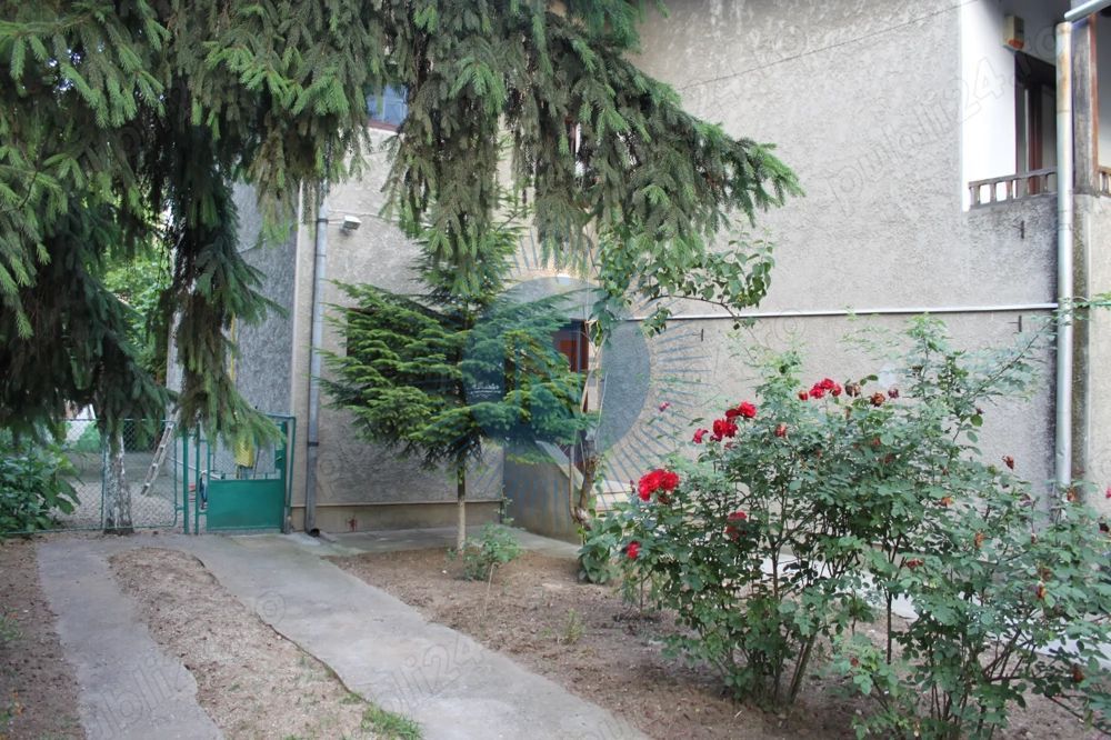 Vila Floreasca - Poză 2