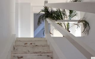 Casa Restaurant cu gradina - 250 mp - Poză 7