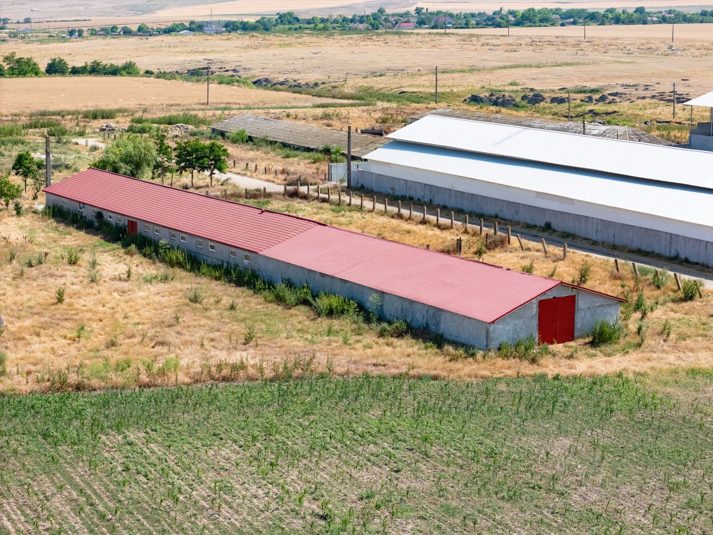 Cogealac - Tariverde – Ferma cu teren intravilan, utilitati racordate! - Poză 7
