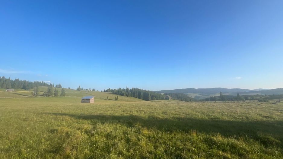 50 hectare teren | Moldova-Sulita | Potential turistic si agricol - Poză 6