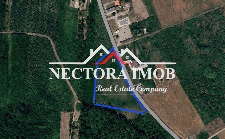 NECTORA IMOB - Loturi teren cu PUZ, utilitati si acces asfaltat, Paleu - Poză 2