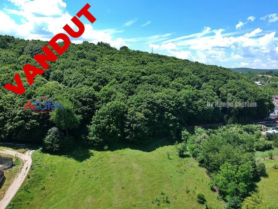 Vanzare teren 904 mp, Bascov, langa padure - Poză 1