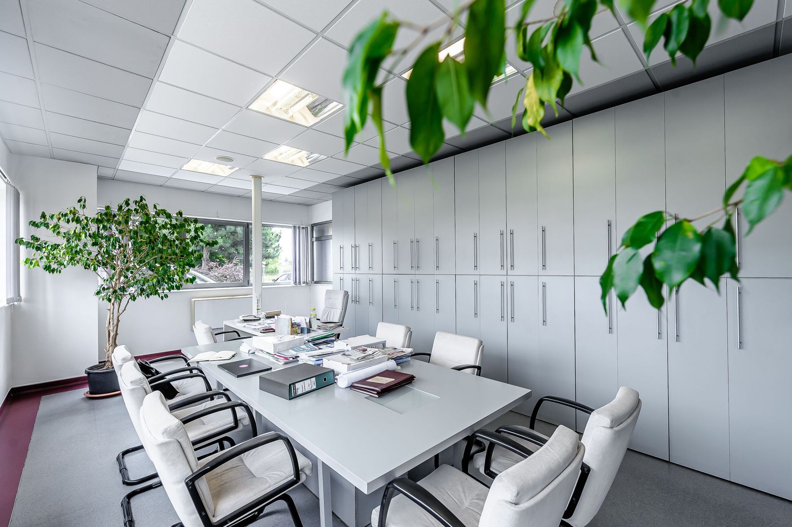 Oportunitate: Hală de producție și depozitare cu birouri în Arad - Poză 4