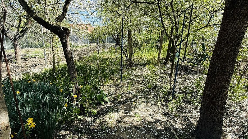 Ciarda Roșie | 2 case în curte | Teren 700 mp | Garaj | Toate utilitățile - Poză 6