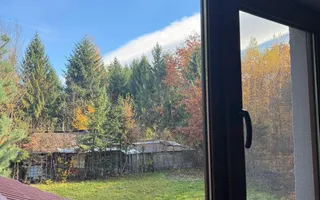 Pensiune/ Vila Valea Avrigului - Poză 22