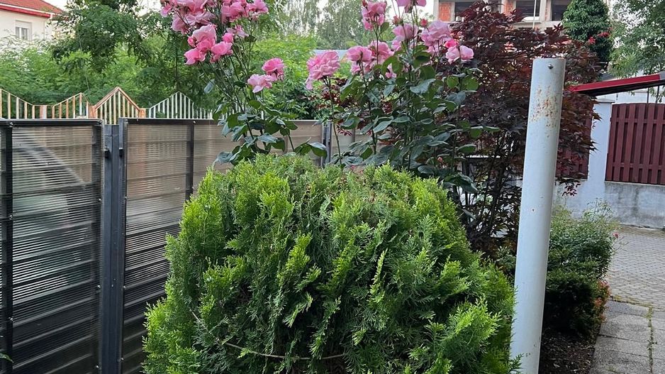 PIPERA - Iancu Nicolae | Vila 290 mp| Teren 387 mp | langa padure - Poză 30