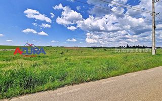 Vanzare  teren industrial, pretabil constructie hale - Poză 5