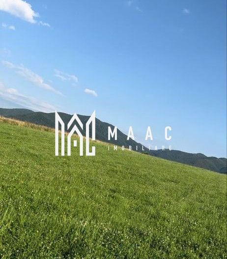 Teren Extravilan I 2000 mp I Orlat - Poză 1