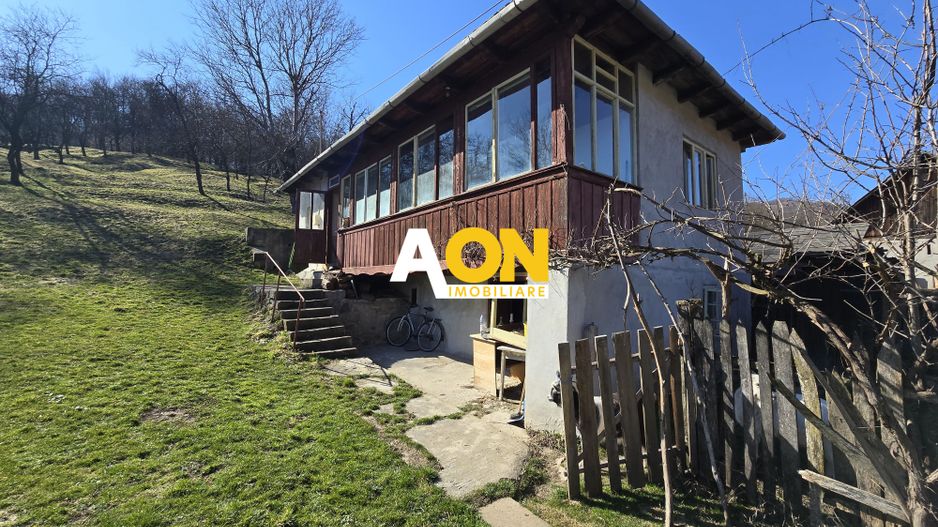 Casa de Vacanta 2 Camere, Strada Morilor Zlatna - Poză 2