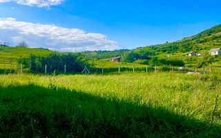 Teren intravilan, Viisoara, 7.57 ari - Poză 1