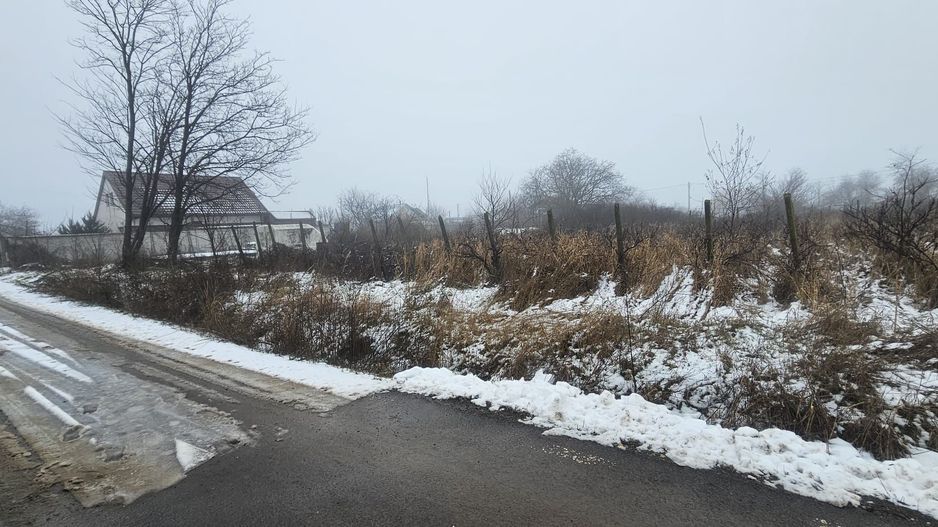 Exclusivitate MAG Invest – Teren 2300 mp Vanatori, ideal investitie - Poză 3