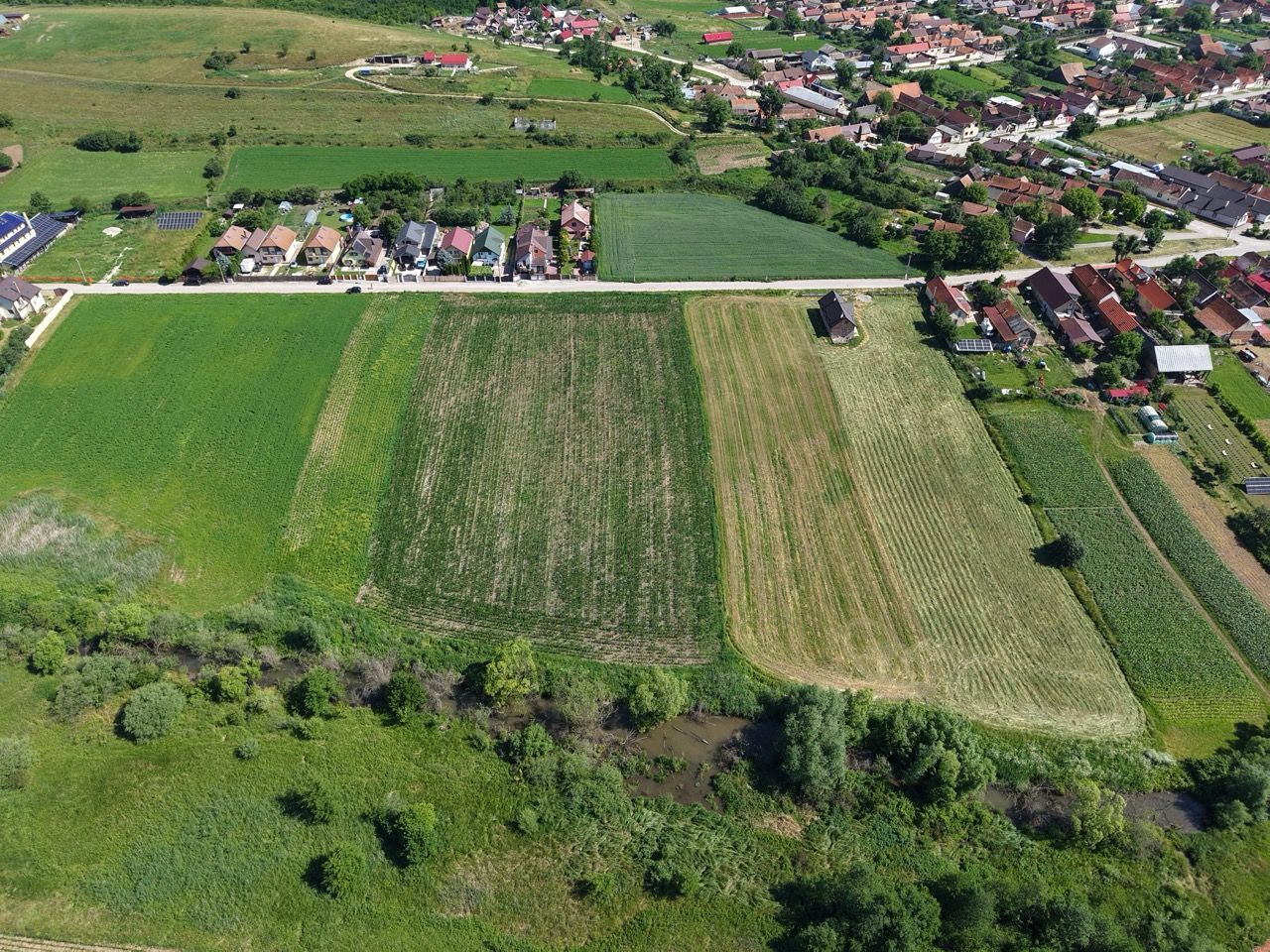 Teren intravilan 10.000 mp, Rotbav (Feldioara) - Poză 9